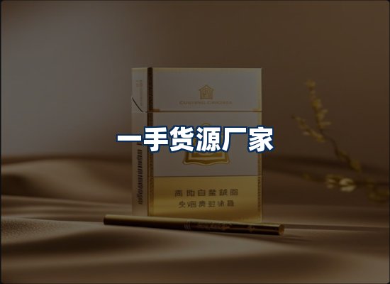 专业团队办公环境